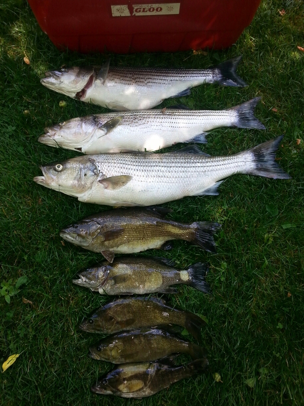 Beltzville Lake PA Fishing Reports, Map & Hot Spots