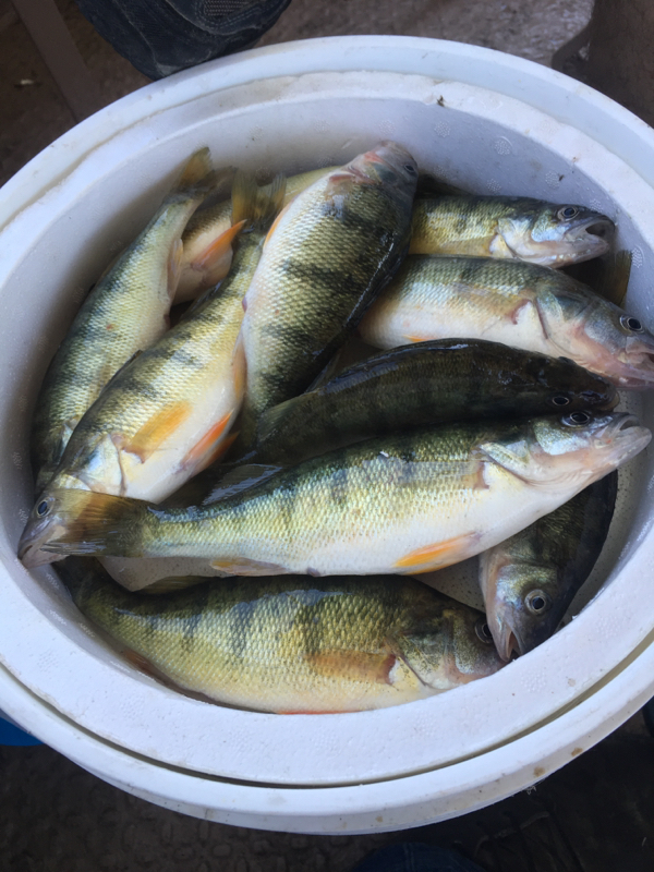 Lake Erie Sandusky Bay OH Fishing Reports, Map & Hot Spots