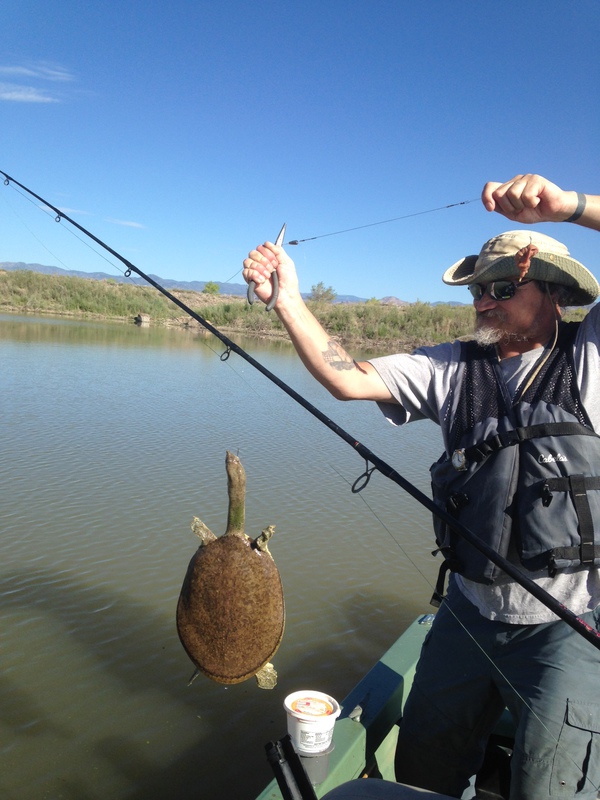 Cochiti Lake NM Fishing Reports, Map & Hot Spots