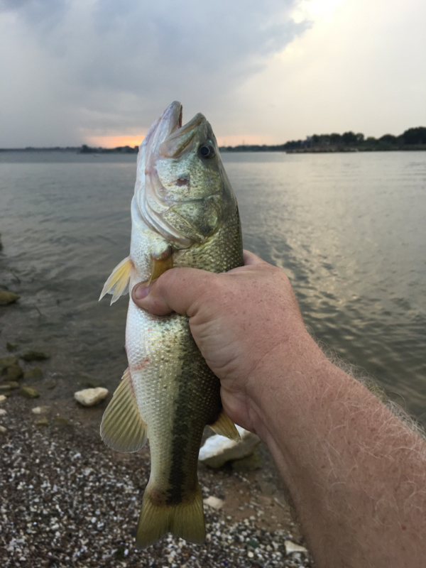 Grapevine Lake TX Fishing Reports, Map & Hot Spots