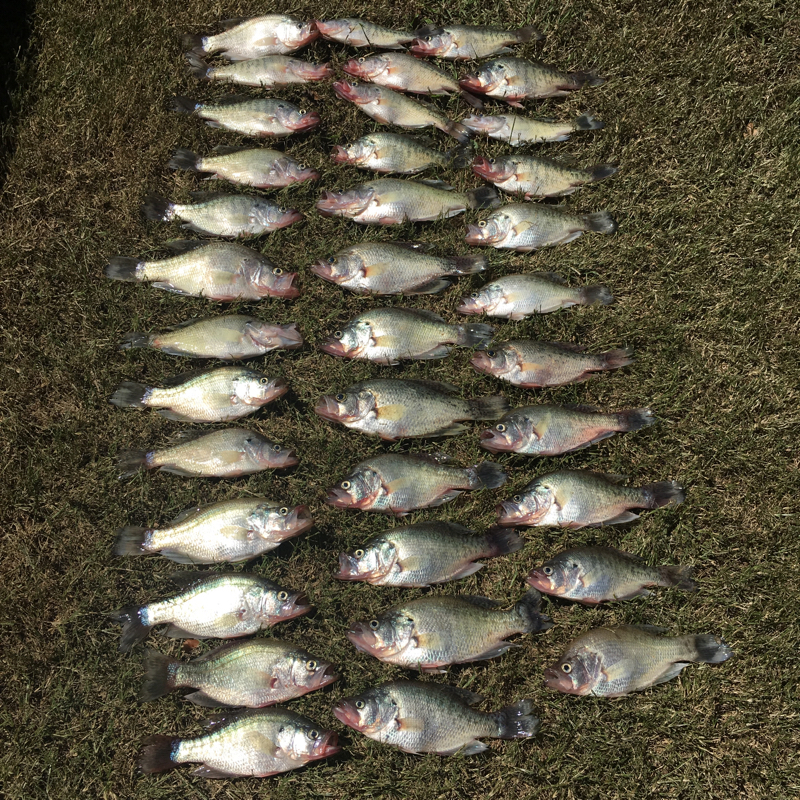 Benbrook Lake TX Fishing Reports, Map & Hot Spots