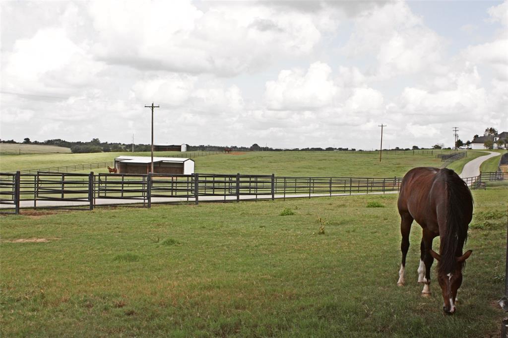 Luxury homes for sale in Industry, TX