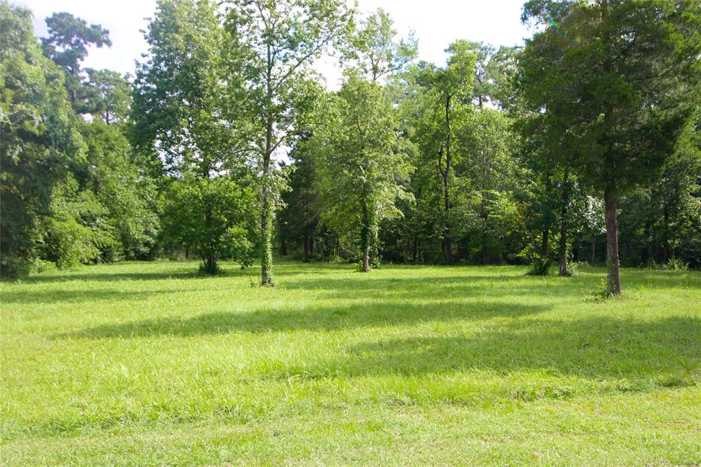 1553 Emerald Lakes Drive, Willis, TX 77378