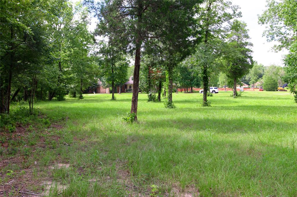 1553 Emerald Lakes Drive, Willis, TX 77378