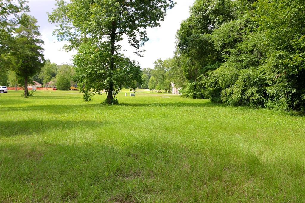 1553 Emerald Lakes Drive, Willis, TX 77378