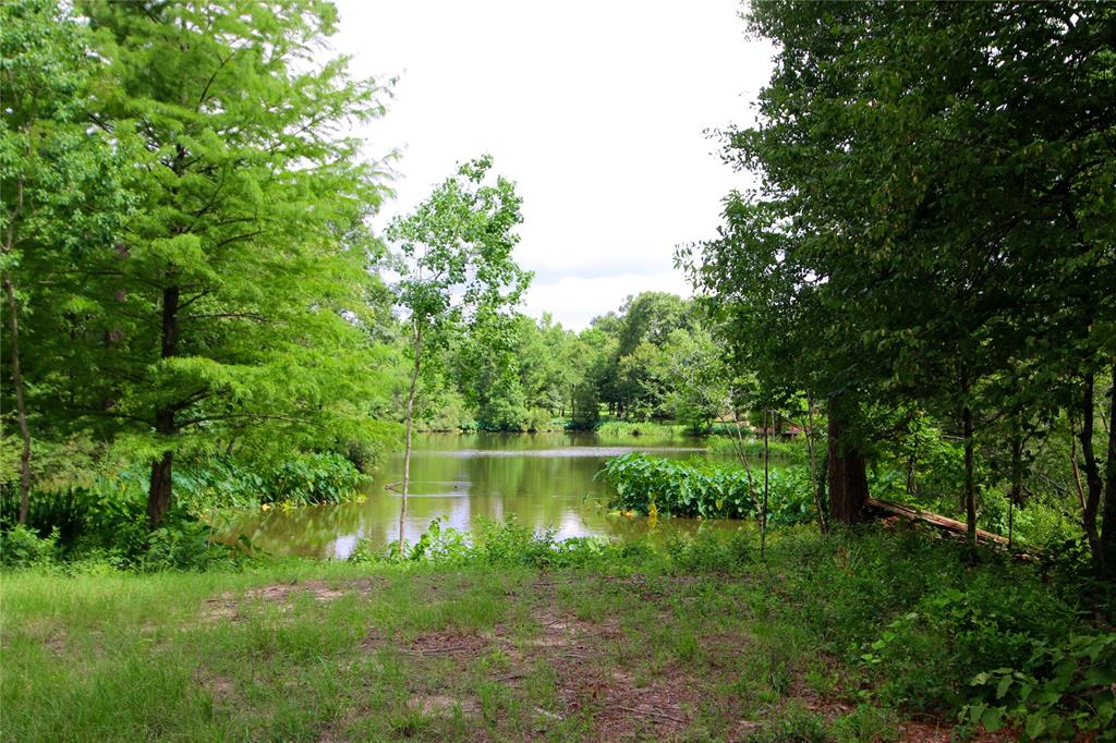 1553 Emerald Lakes Drive, Willis, TX 77378