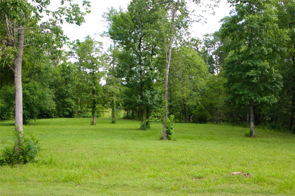 1553 Emerald Lakes Drive, Willis, TX 77378