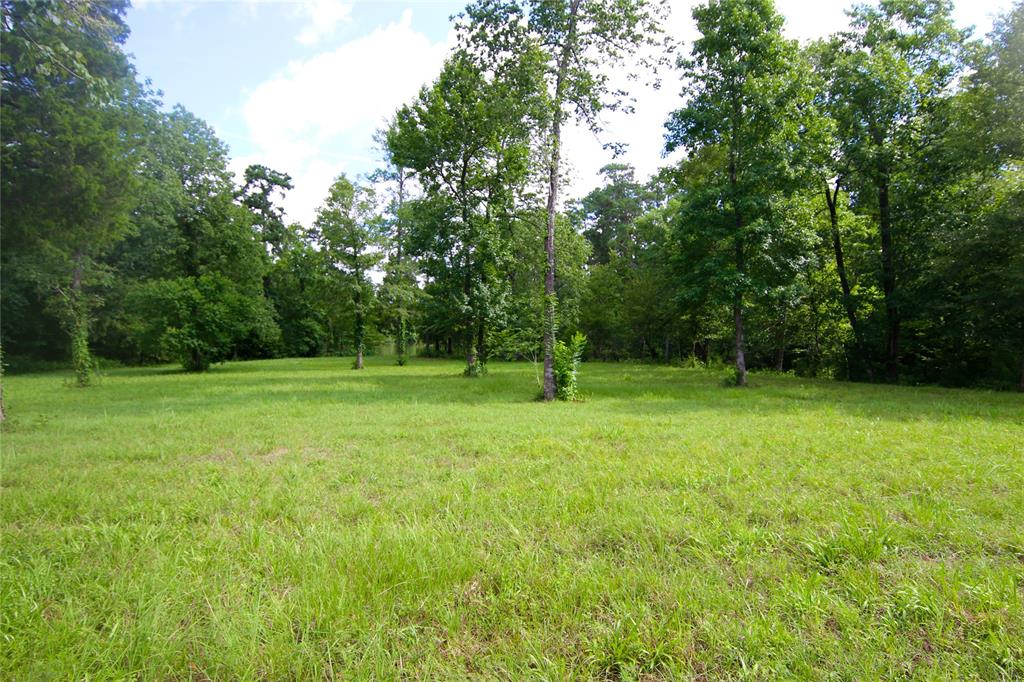 1553 Emerald Lakes Drive, Willis, TX 77378