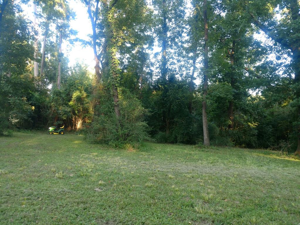 000 Franconia Drive E, Montgomery, TX 77316