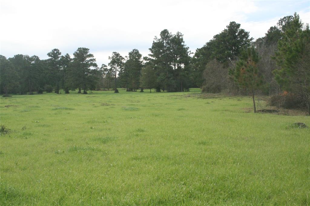 TBD CR 355, Todd Mission, TX 77363