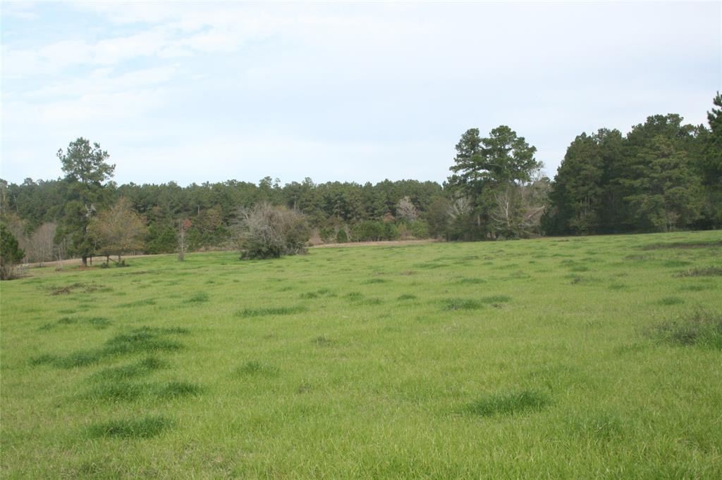 TBD CR 355, Todd Mission, TX 77363