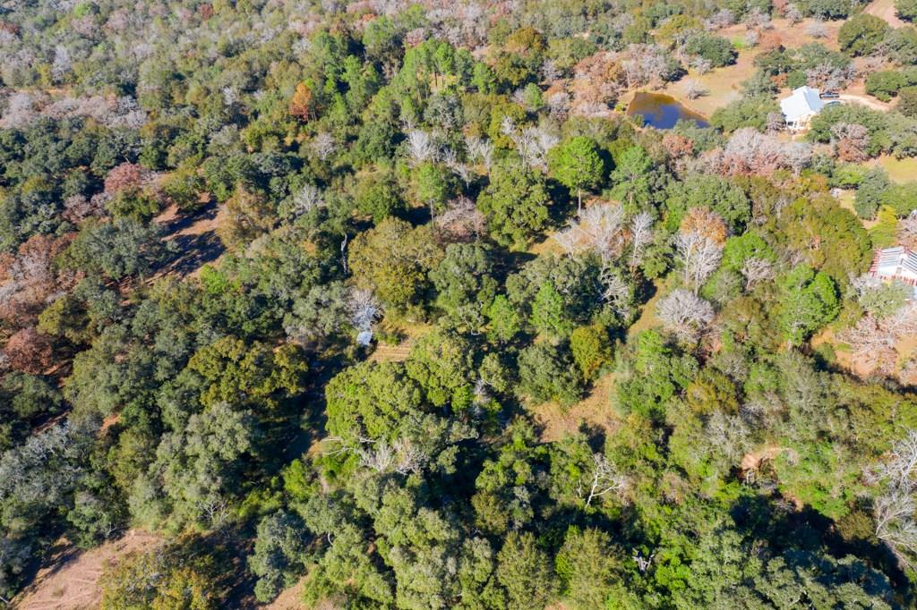 TBD Bass Road, Garwood TX 77442