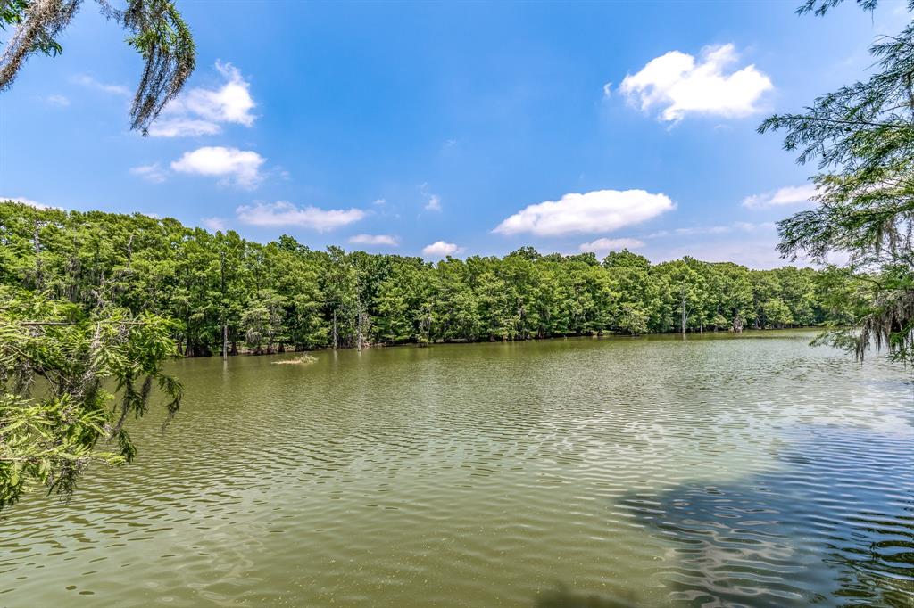 0 Cypress Lakes Drive, Cleveland, TX 77327