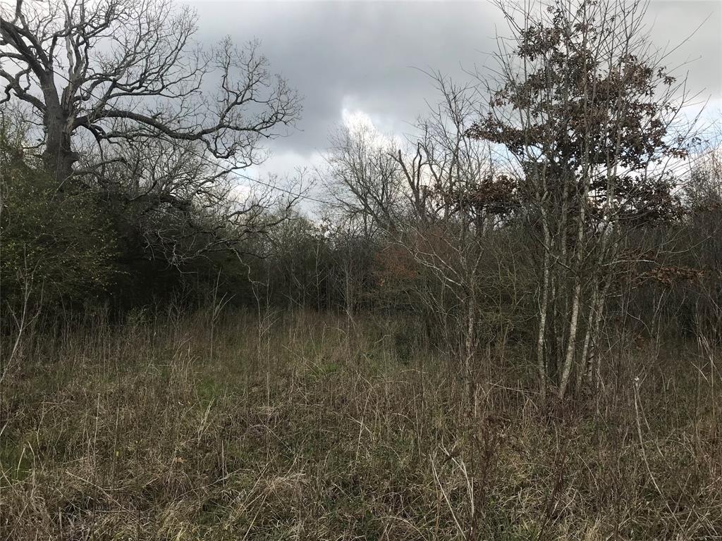 TBD FM 1375 East, New Waverly, TX 77358