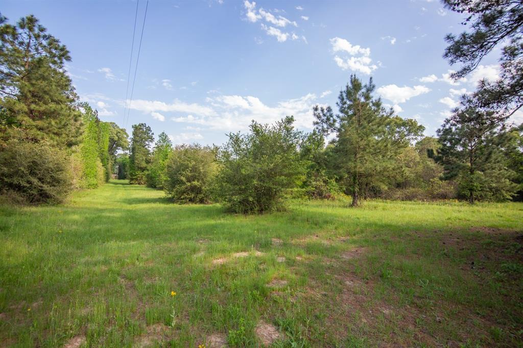 0 Calvary Road, Willis, TX 77318