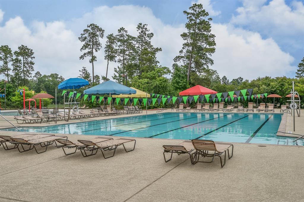 31334 Whispering Oaks Lane, Spring, TX 77386