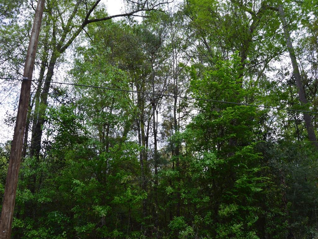 000 County Road 2687, Rye TX Real Estate Listing