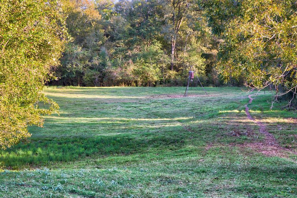 45152 Mitchamore Rd, Hempstead, TX 77445