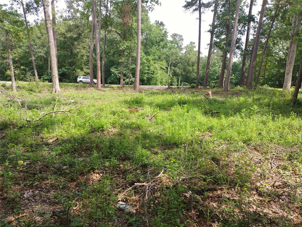 TBD Athens, Roman Forest, TX 77357