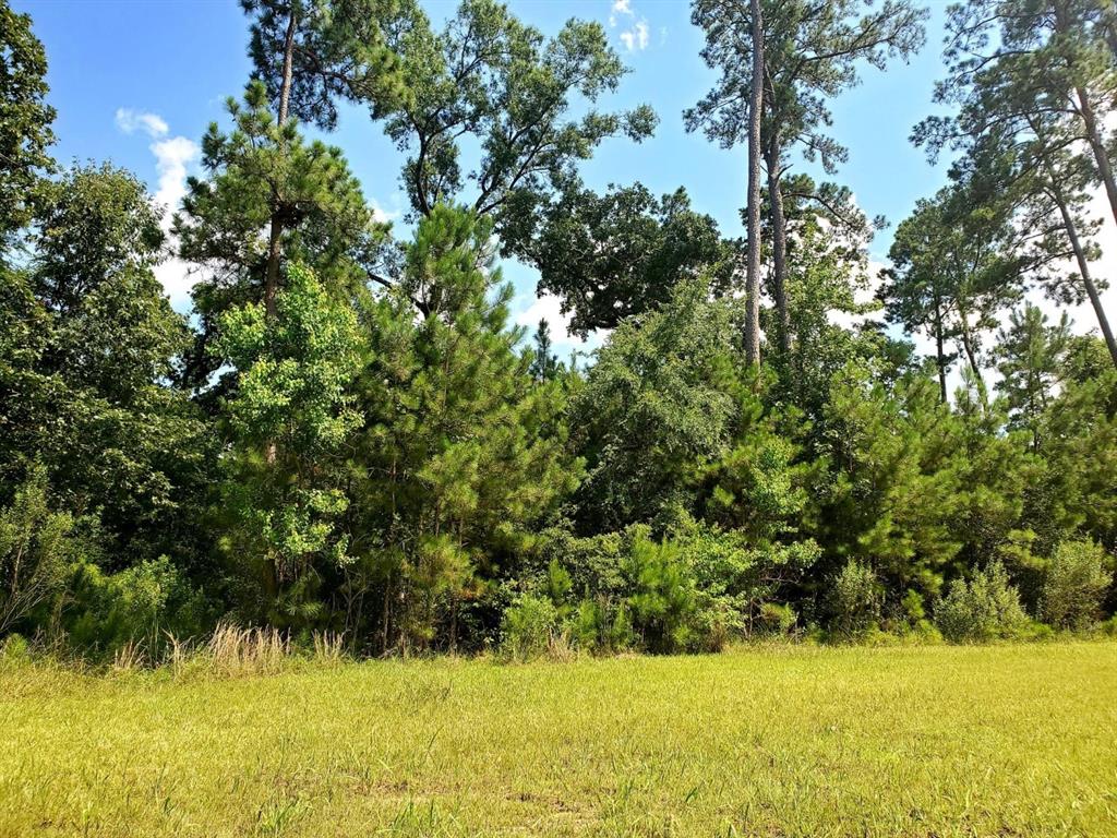 109 Kings Lake Estates Boulevard, Humble, TX 77346