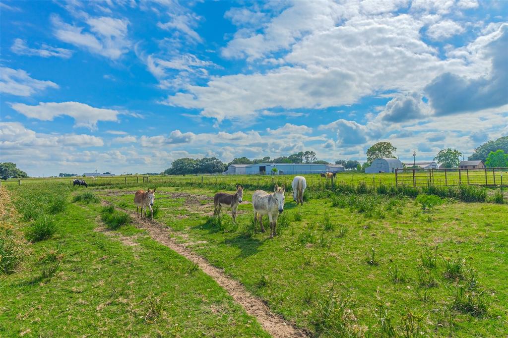 For Sale 0 Woods Road, Brookshire, TX 77423 4,000,000