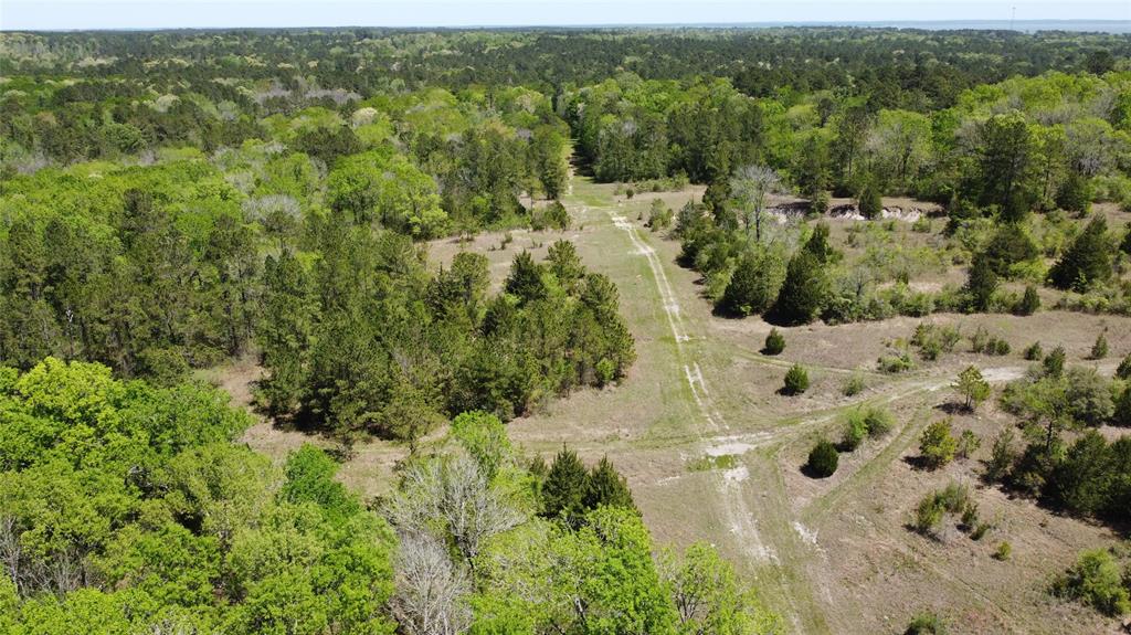 53 ac OFF US 190 W, Point Blank, TX 77364