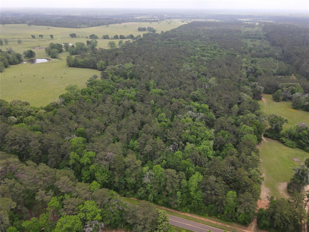 Country Homes/Acreage for sale in Crockett, Texas, 15450185