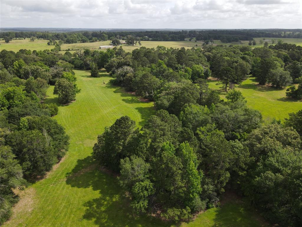 TBD N Us Hwy 287 For Sale, Grapeland, TX 75844 Land BuyOwner