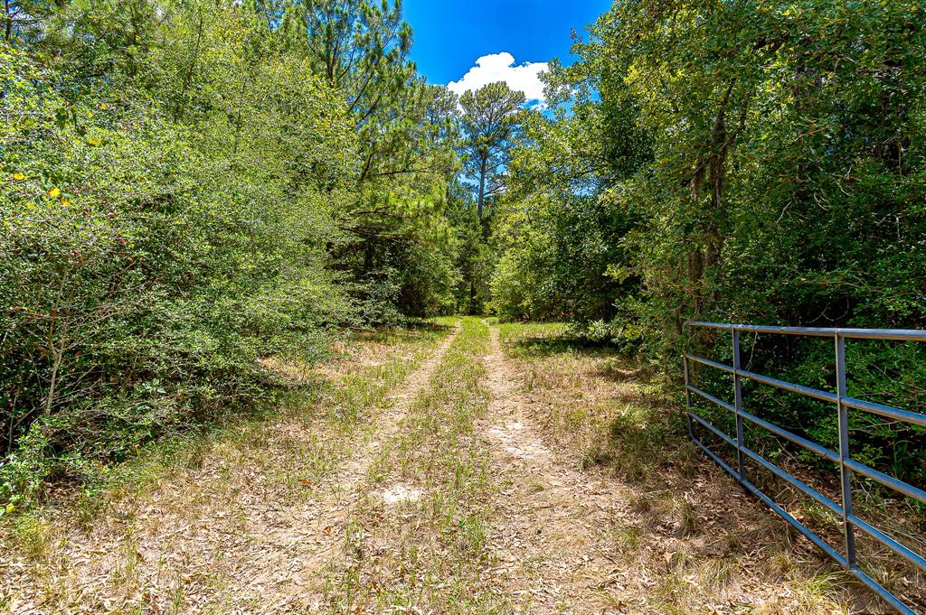 Grimes County Land & Ranches for Sale t2 Ranches