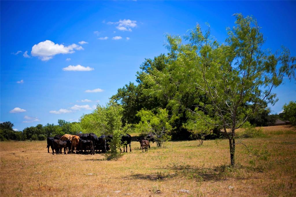 Country Homes/Acreage For Sale Price 300,000 23771302 Red