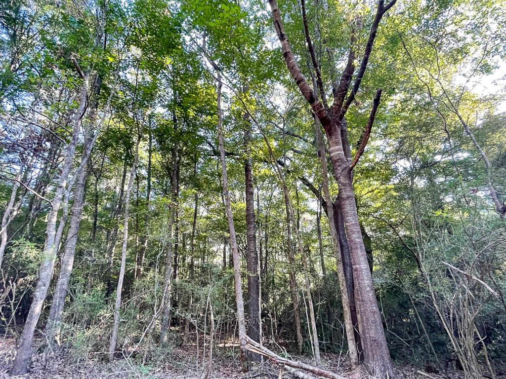 0 CR 2694, Huxley, TX 75973