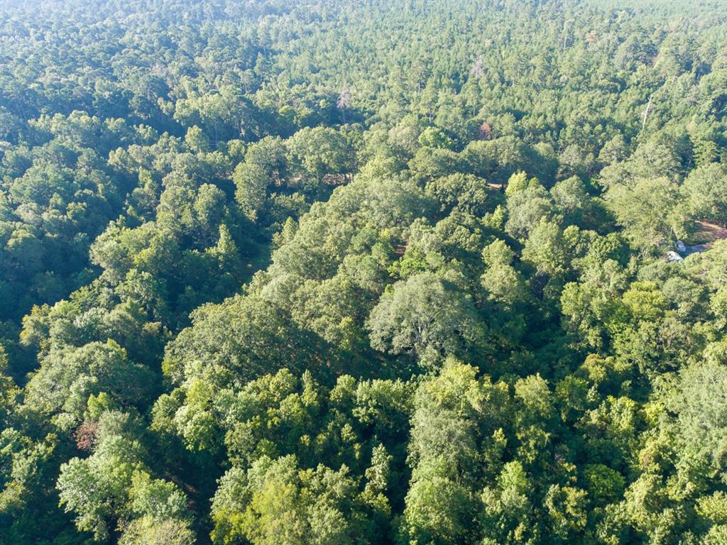 TBD CR 2694, Huxley TX 75973