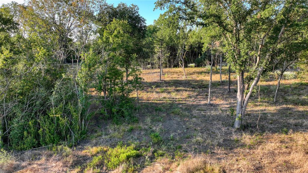 10 Chappell Creek Ln, Chappell Hill, TX 77426