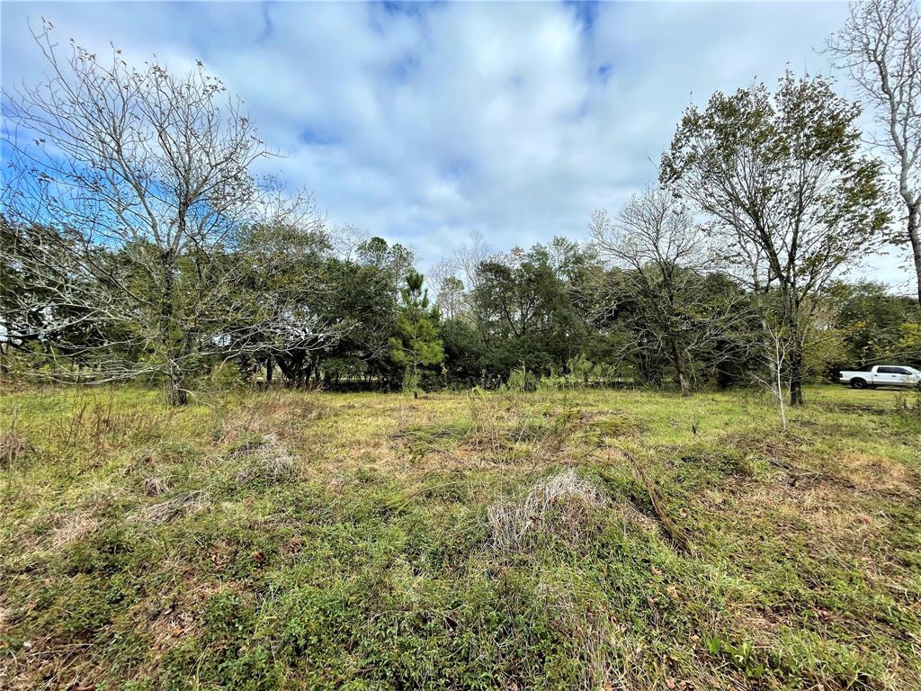 1914 1st Street, Liverpool, TX 77577