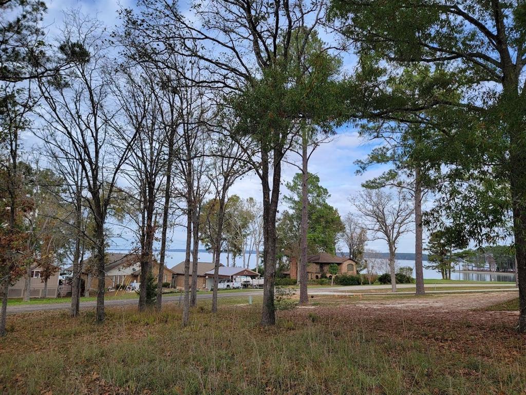 TBD Lazy Ln, Livingston, TX 77351