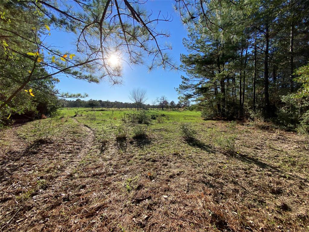 Grimes County Land & Ranches for Sale t2 Ranches