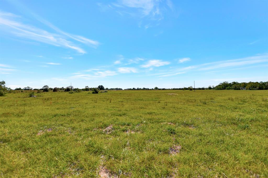 1451 Bernardo Rd, Cat Spring, TX 78933