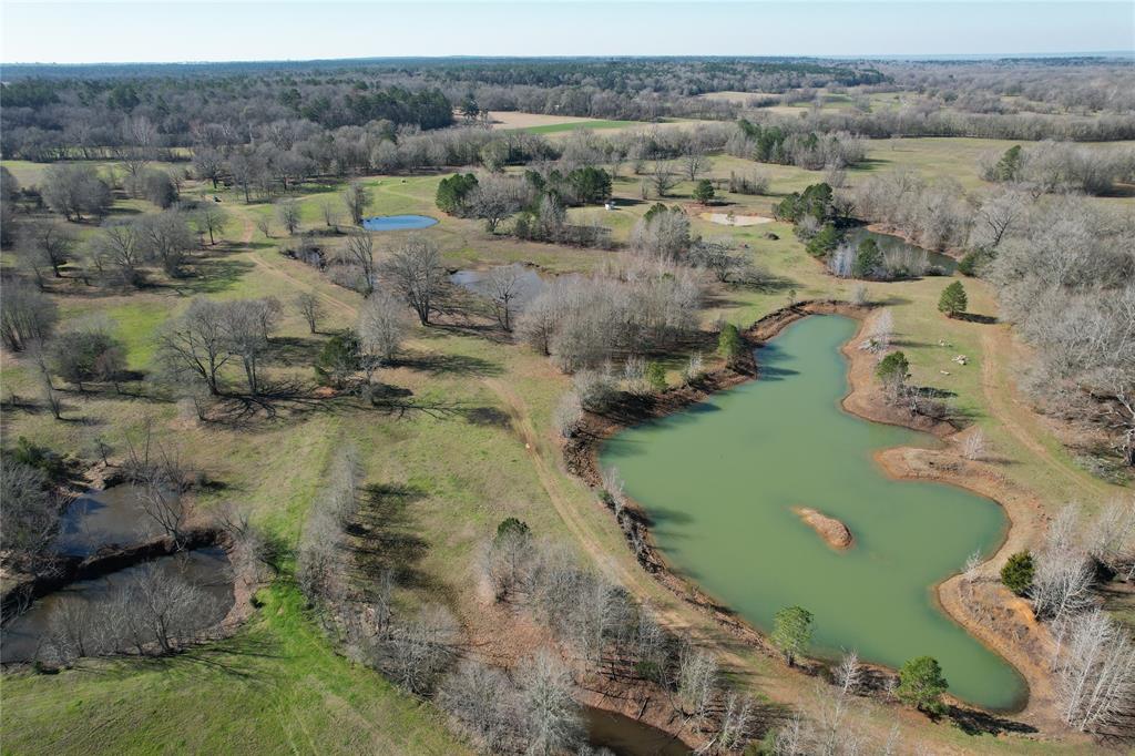 Houston County Land & Ranches for Sale t2 Ranches