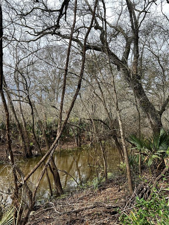 10579 County Road 743, Sweeny, TX 77480