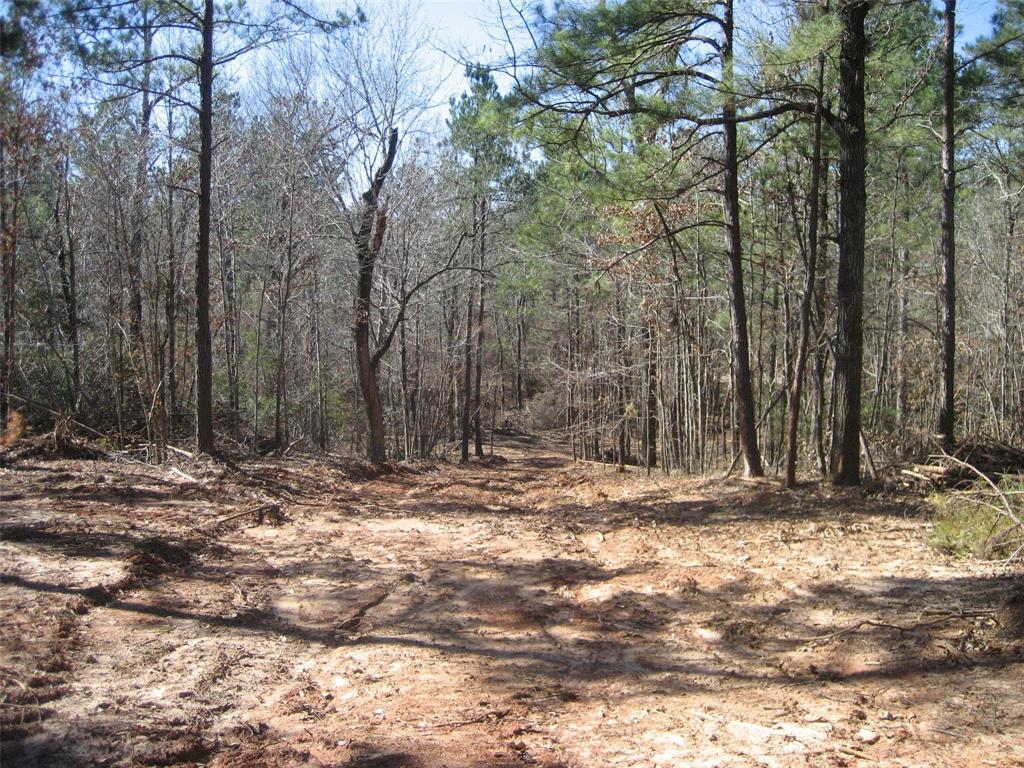 00 CR 1172, Ratcliff, TX 75858