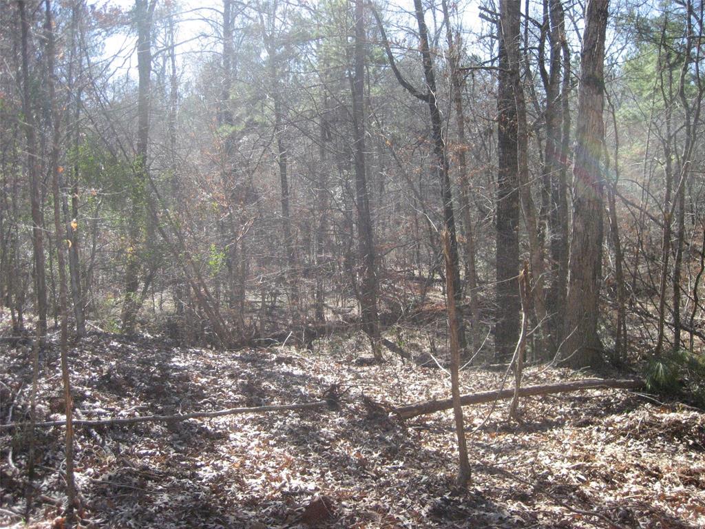 00 CR 1172, Ratcliff, TX 75858