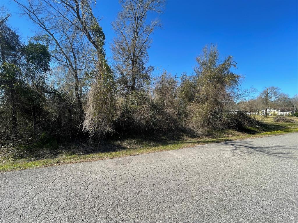 For Sale 0 Yaupon Street, Baytown, TX 77520 40,000