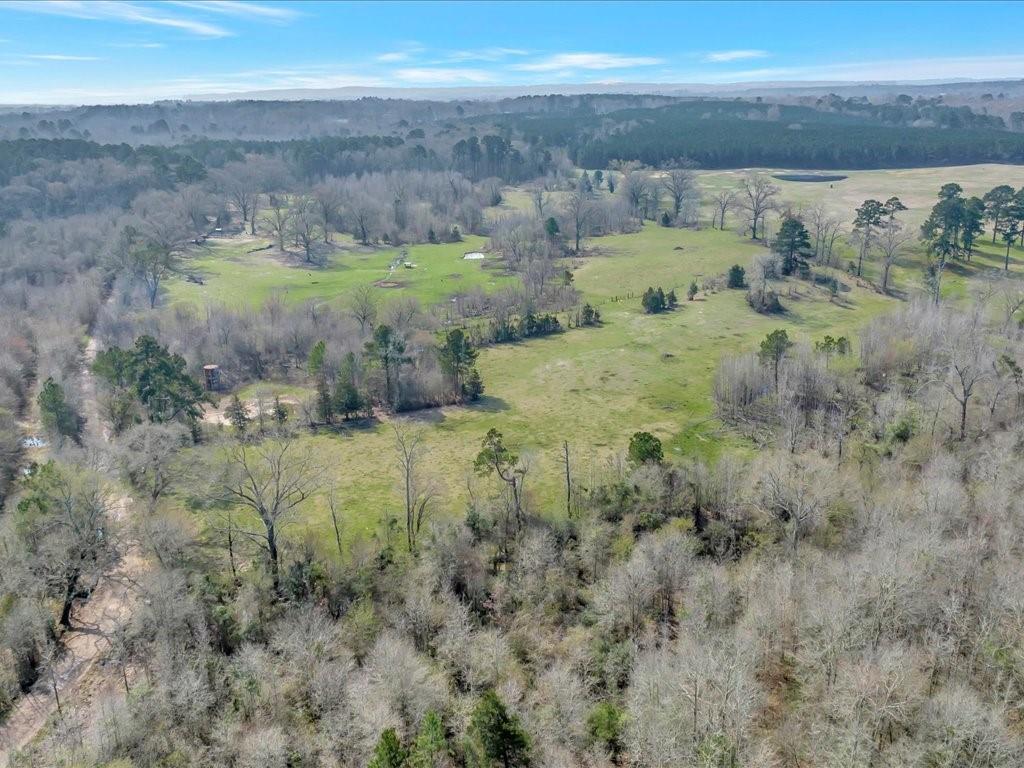 1159 County Road 195, Garrison, TX 75946