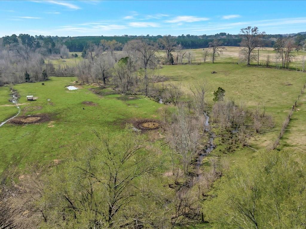 1159 County Road 195, Garrison, TX 75946