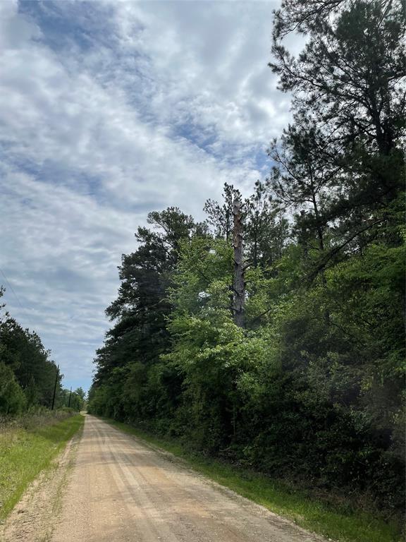 Tract 8 County Road 4025, Lovelady, TX 75851