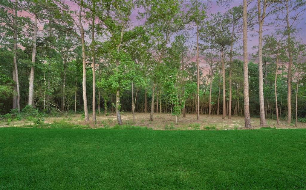 15706 Republic Grand Ranch Rd N, Willis, TX 77378