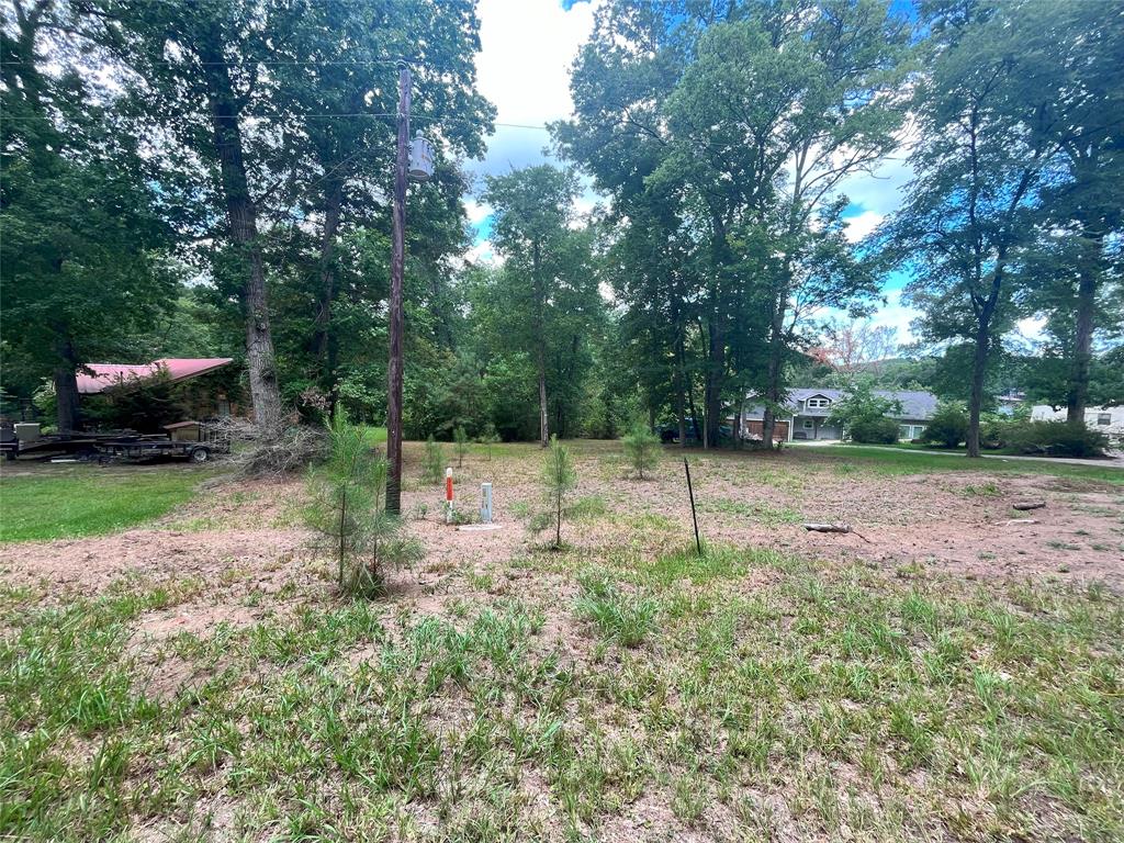 TBD Little Creek Dr, Coldspring, TX 77331