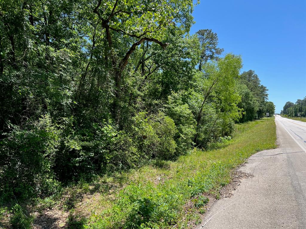 TBD FM 1486 Magnolia, Magnolia, TX 77354