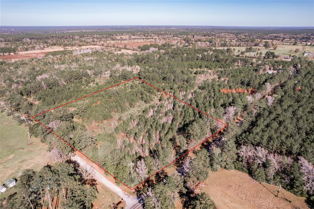 262 S Scrubcreek/Bill Jones Road, Groveton, TX 75845 MLS 11067763