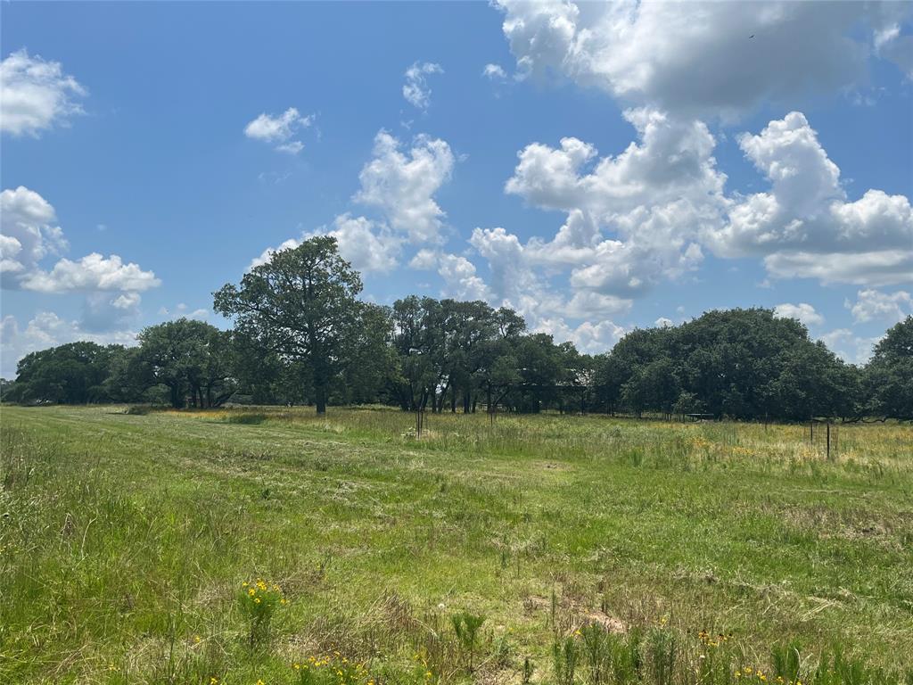 1288 Forest Oaks Dr, Altair, TX 77412